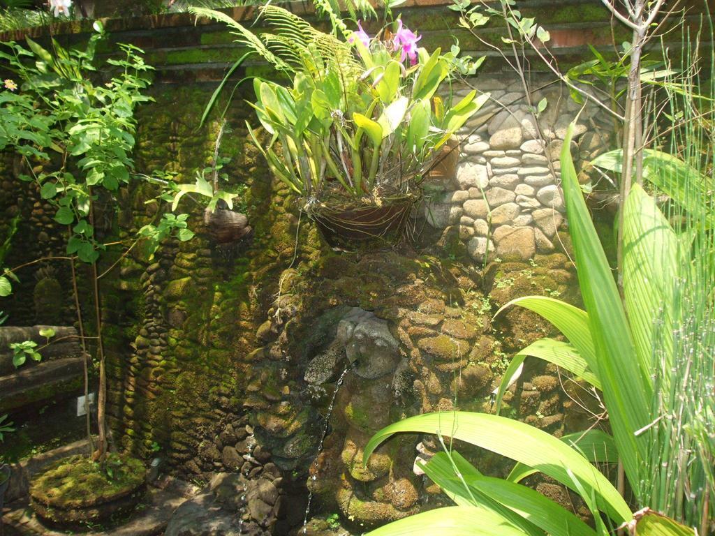 Villa Semana Resort Ubud אובוד מראה חיצוני תמונה
