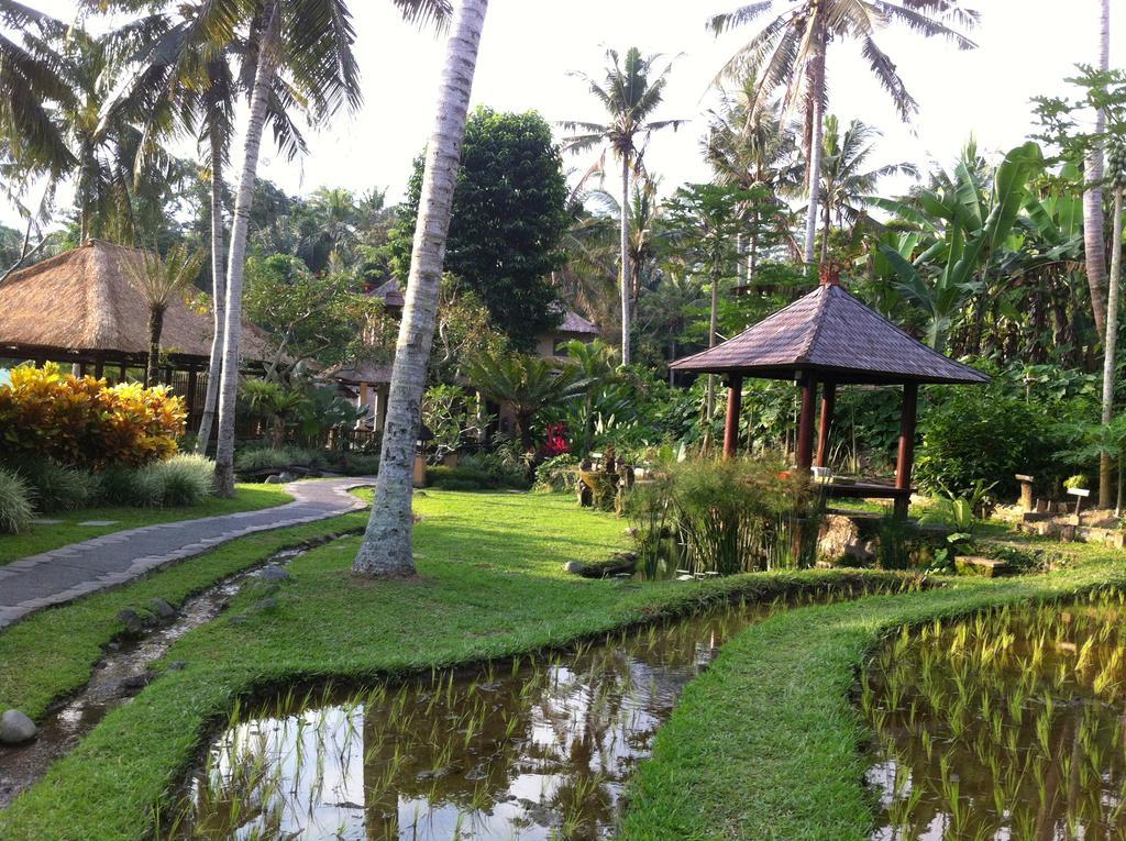 Villa Semana Resort Ubud אובוד מראה חיצוני תמונה